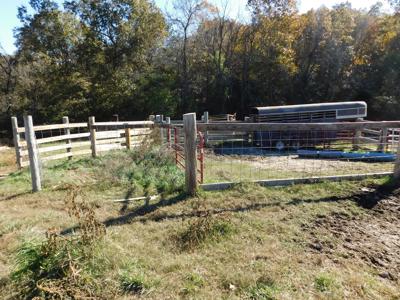 Farm Pasture Land With Springs, Marion County, Ar For Sale - image 14