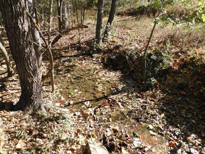 Farm Pasture Land With Springs, Marion County, Ar For Sale - image 6