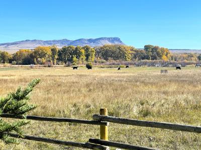 Luxury Home on 20 Acre Horse Property in Montana - image 7