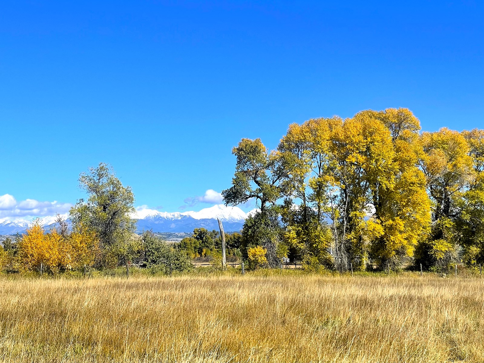 Luxury Home on 20 Acre Horse Property in Montana - image 4