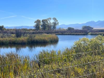 Luxury Home on 20 Acre Horse Property in Montana - image 14