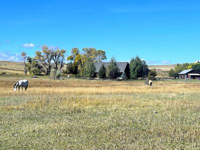 Luxury Home on 20 Acre Horse Property in Montana - image 27