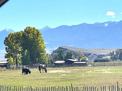 Luxury Home on 20 Acre Horse Property in Montana - image 28