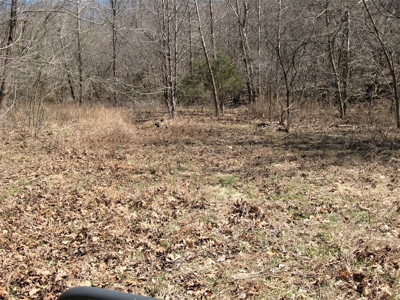Pulaski County, Mo Wooded Vacant Hunting Recreational Land - image 2