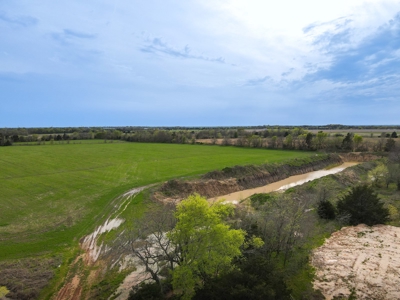 Bonham Texas Land For Sale Farmland Hunting Property Fannin - image 2