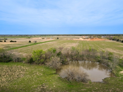 Bonham Texas Land For Sale Farmland Hunting Property Fannin - image 3