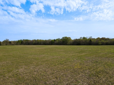 Bonham Texas Land For Sale Farmland Hunting Property Fannin - image 6