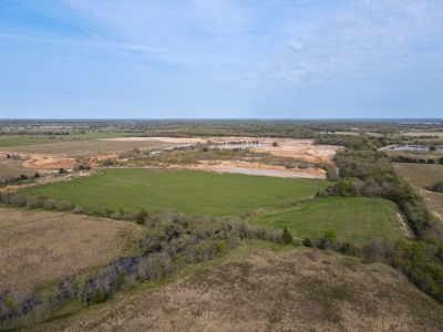 Bonham Texas Land For Sale Farmland Hunting Property Fannin - image 4