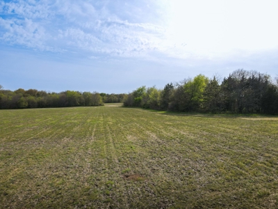 Bonham Texas Land For Sale Farmland Hunting Property Fannin - image 5