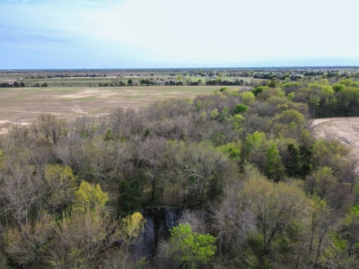 Bonham Texas Land For Sale Farmland Hunting Property Fannin - image 7