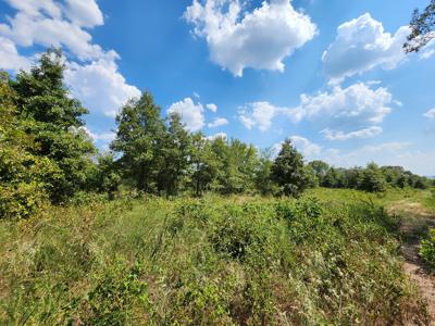 Winding Stair Mountain Home Site – Near National Forest - image 17