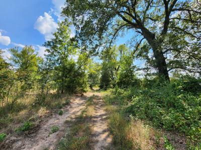 Winding Stair Mountain Home Site – Near National Forest - image 12