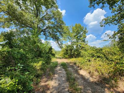 Winding Stair Mountain Home Site – Near National Forest - image 18