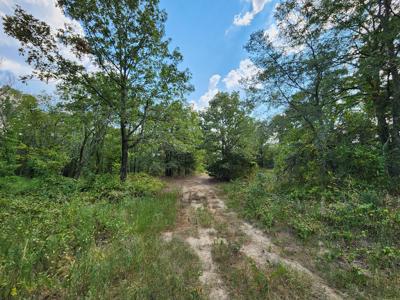 Winding Stair Mountain Home Site – Near National Forest - image 9