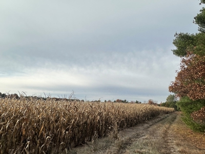 122 +/- Acres Outdoor Paradise in Waushara County WI - image 1