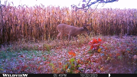 122 +/- Acres Outdoor Paradise in Waushara County WI - image 13