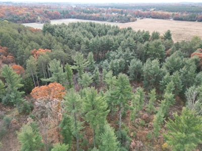 122 +/- Acres Outdoor Paradise in Waushara County WI - image 17