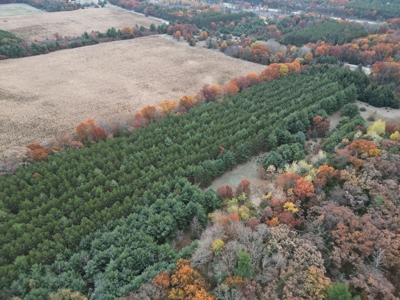 122 +/- Acres Outdoor Paradise in Waushara County WI - image 36