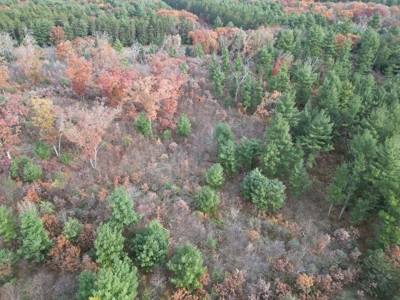 122 +/- Acres Outdoor Paradise in Waushara County WI - image 18