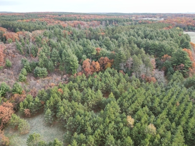 122 +/- Acres Outdoor Paradise in Waushara County WI - image 5