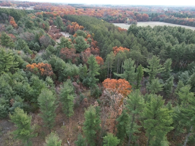 122 +/- Acres Outdoor Paradise in Waushara County WI - image 3