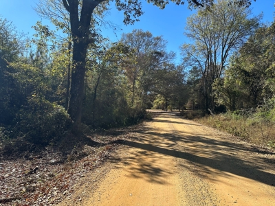 Hermitage, AR - Hwy 160 - Land for sale! - image 1
