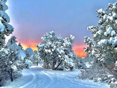 Home and Land For Sale in Dolores, Colorado - image 5