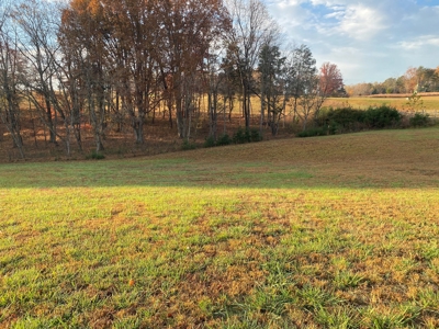 Lot with Lake Access for Sale in Union Hall VA - image 14