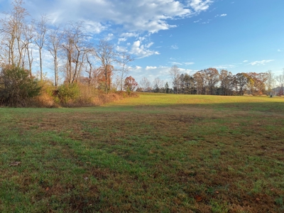 Lot with Lake Access for Sale in Union Hall VA - image 7