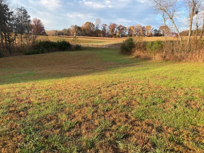 Lot with Lake Access for Sale in Union Hall VA - image 13