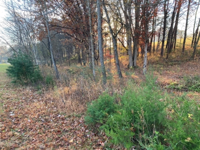 Lot with Lake Access for Sale in Union Hall VA - image 10