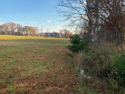 Lot with Lake Access for Sale in Union Hall VA - image 5