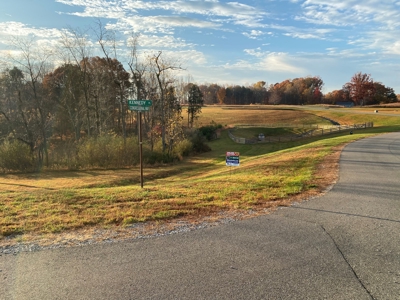 Lot with Lake Access for Sale in Union Hall VA - image 1