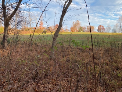 Lot with Lake Access for Sale in Union Hall VA - image 11