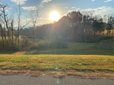 Lot with Lake Access for Sale in Union Hall VA - image 3