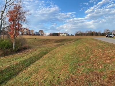Lot with Lake Access for Sale in Union Hall VA - image 15