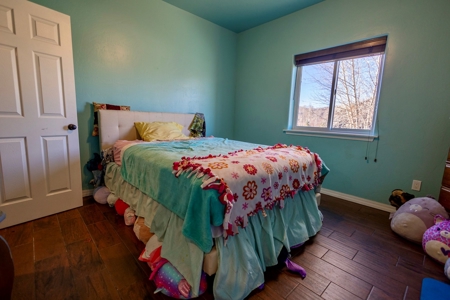 Brand New Gunnison Colorado Home For Sale - image 8