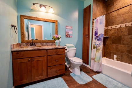 Brand New Gunnison Colorado Home For Sale - image 10