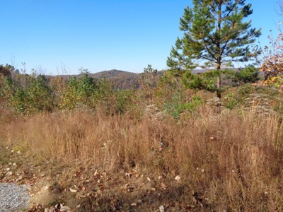 5.82 Acres for sale with Lakeview in Roane County, TN - image 15