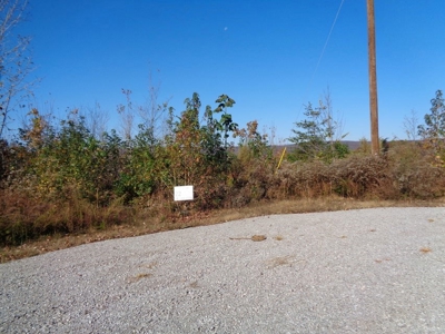 5.82 Acres for sale with Lakeview in Roane County, TN - image 9