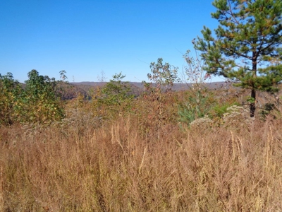 5.82 Acres for sale with Lakeview in Roane County, TN - image 19