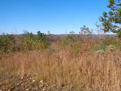 5.82 Acres for sale with Lakeview in Roane County, TN - image 18