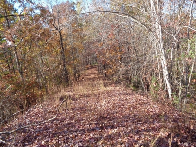 5.82 Acres for sale with Lakeview in Roane County, TN - image 22