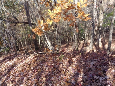 5.82 Acres for sale with Lakeview in Roane County, TN - image 24