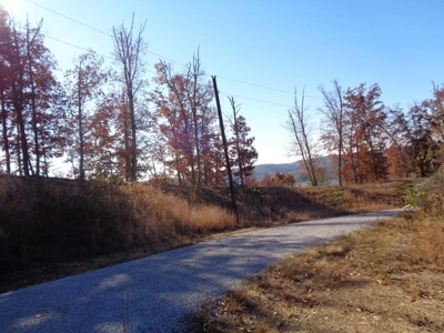 5.82 Acres for sale with Lakeview in Roane County, TN - image 11