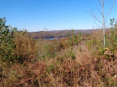 5.82 Acres for sale with Lakeview in Roane County, TN - image 12