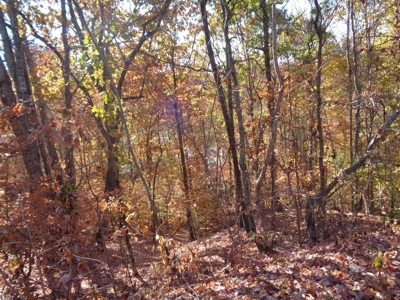 5.82 Acres for sale with Lakeview in Roane County, TN - image 23