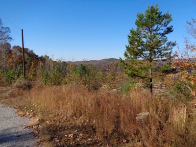 5.82 Acres for sale with Lakeview in Roane County, TN - image 16
