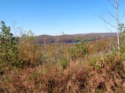 5.82 Acres for sale with Lakeview in Roane County, TN - image 13