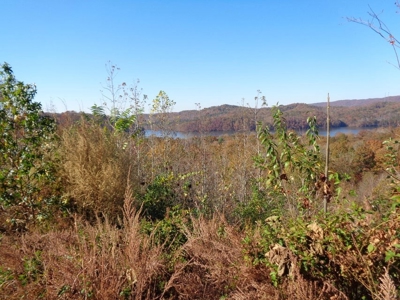 5.82 Acres for sale with Lakeview in Roane County, TN - image 1